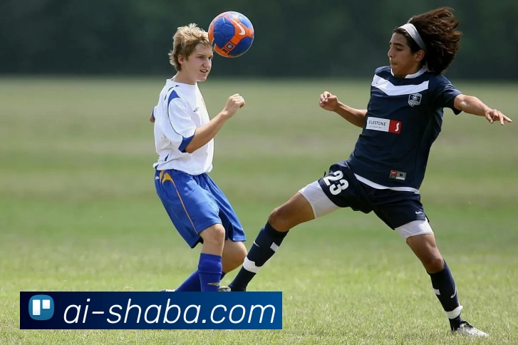 沙巴体育官网平台生态图